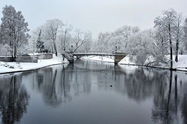 Most přes řeku Stock Fotografie