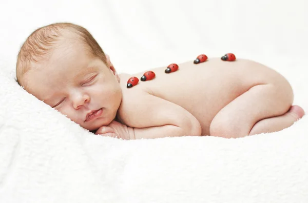 Sleeping newborn — Stock Photo, Image