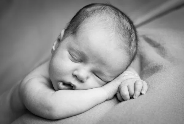 Roztomilý novorozence — Stock fotografie