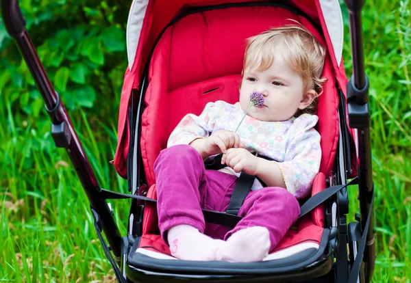 Bebé sentado en el cochecito con mirada divertida en verano —  Fotos de Stock