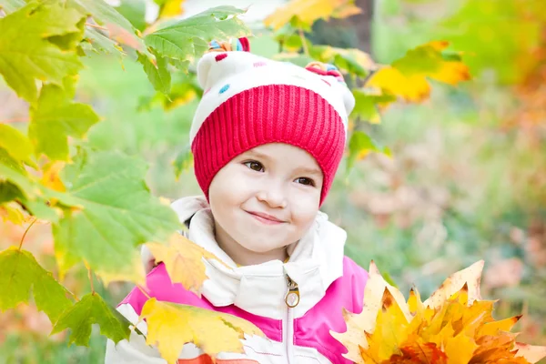 Cute little girl in autumn forest — Stock Photo, Image