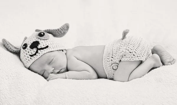 Cute newborn baby sleeps — Stock Photo, Image