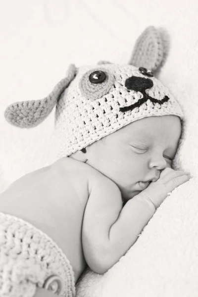 Cute newborn baby sleeps — Stock Photo, Image