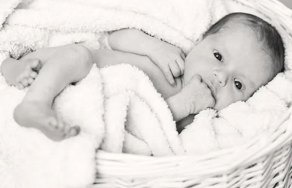 Newborn baby boy lying in basket — Stock Photo, Image
