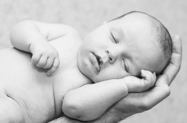 Gordita lindo bebé recién nacido — Foto de Stock