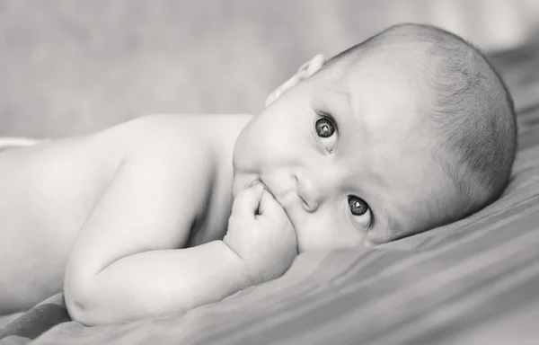 Charming baby boy — Stock Photo, Image