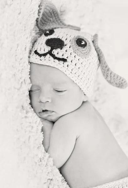 Cute newborn baby sleeps — Stock Photo, Image