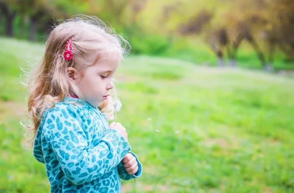 Чарівна маленька дівчинка дме з кульбаби — стокове фото