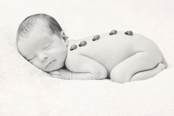 Cute sleeping newborn with ladybird — Stock Photo, Image