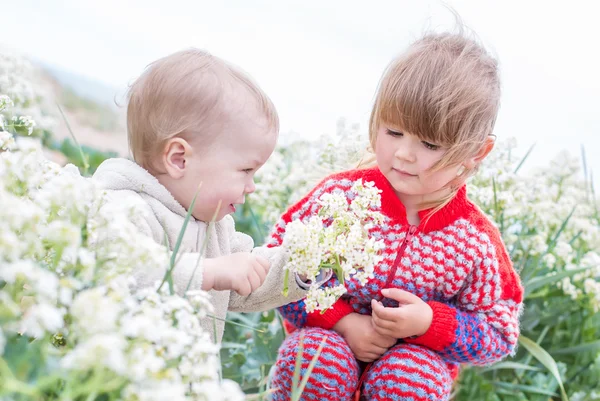 Щасливий маленький хлопчик дарує дикі квіти маленька дівчинка — стокове фото