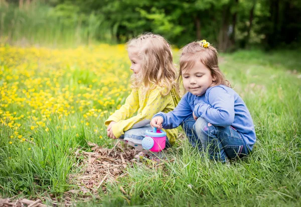 Due bambine carine sulla natura — Foto Stock