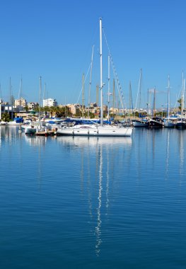Kıbrıs'ta Marina