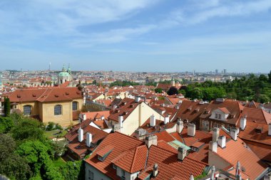 Prag çatılar