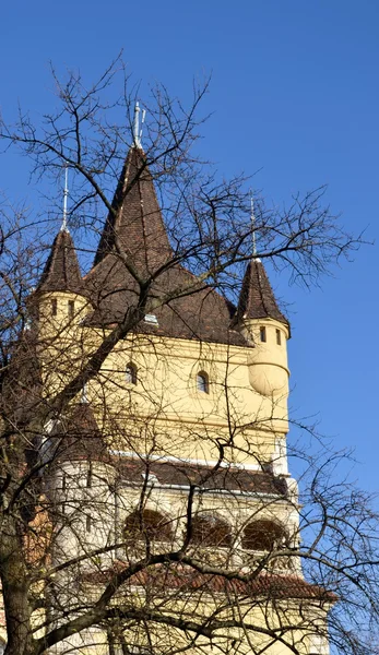 Vajdahunyad Burg — Stockfoto