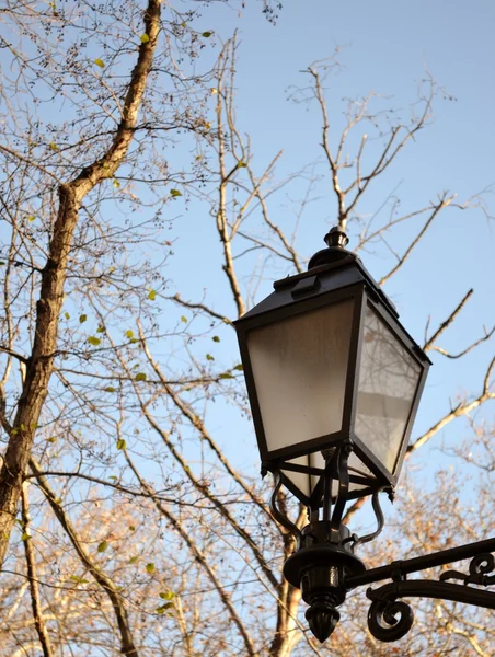 Уличный фонарь и дерево — стоковое фото