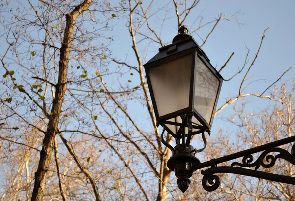 Уличный фонарь и дерево — стоковое фото
