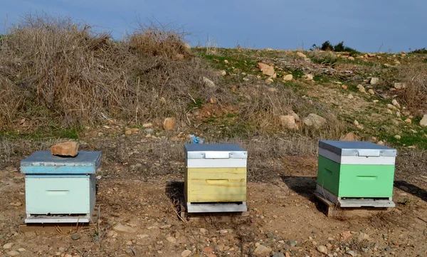 Colmenas de abejas — Foto de Stock