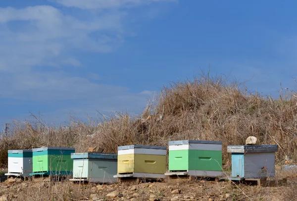 Bienenstöcke — Stockfoto