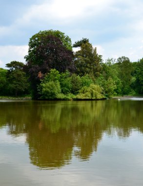 Su yansımaları ve ağaçlar