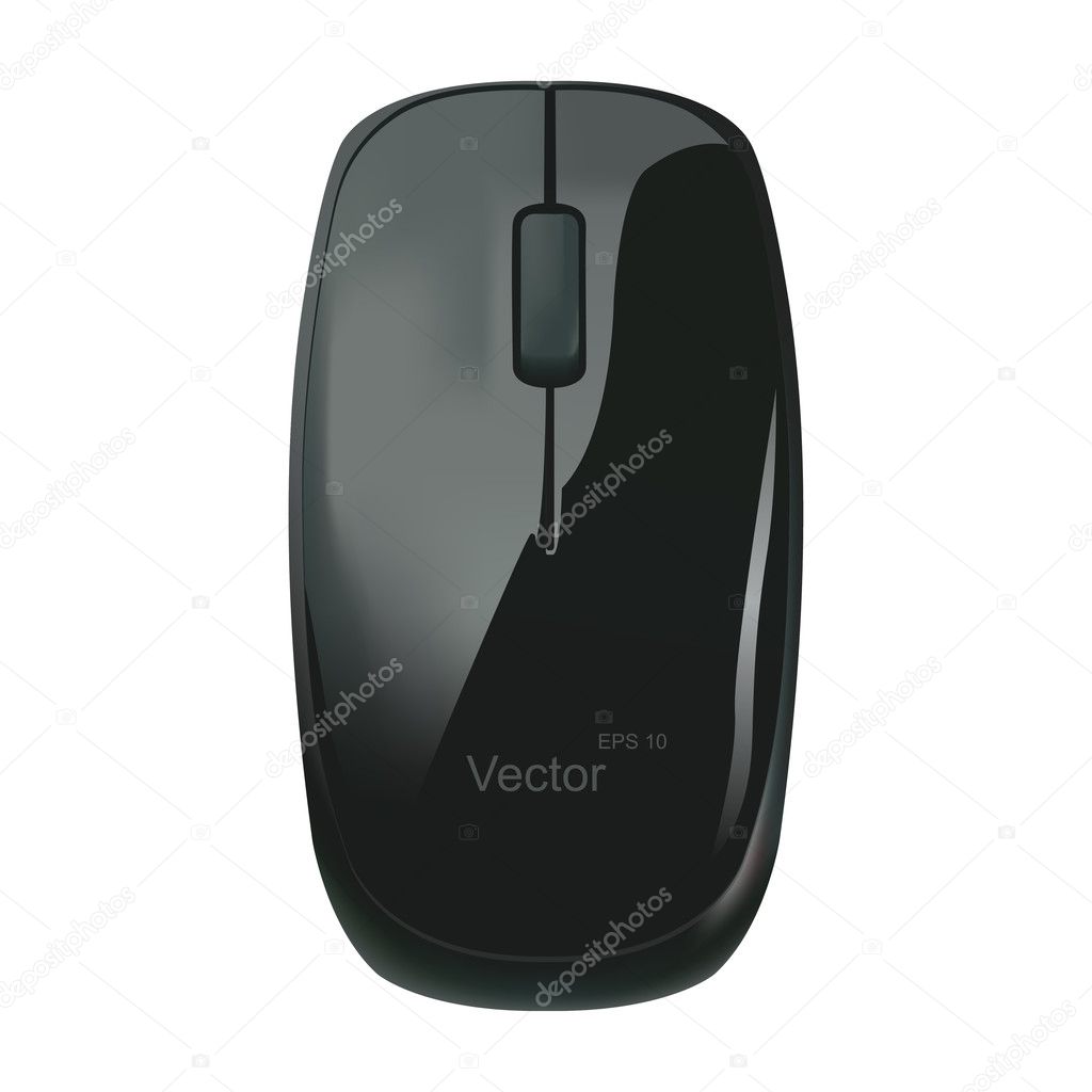 black computer mouse on a white background