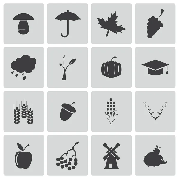 Vector black autumn icons set — Stock Vector