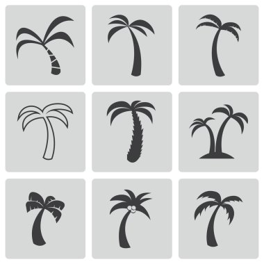 siyah vektör palm simgeler kümesi