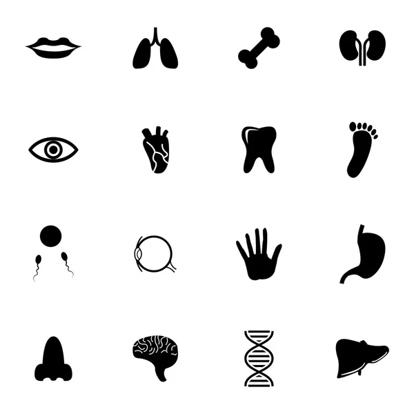Set di icone anatomiche nere vettoriali — Vettoriale Stock
