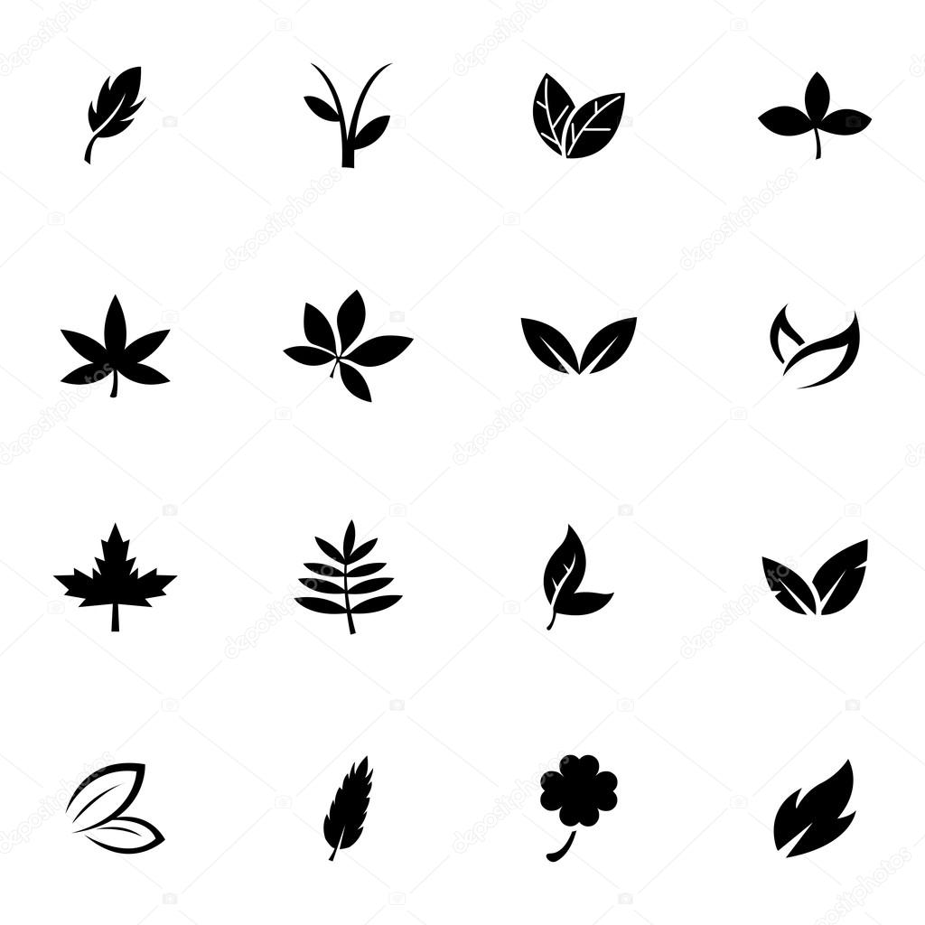 Vector black leaf icons set
