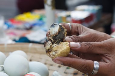 Balut