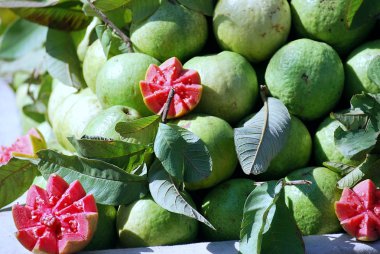 Hindistan'da açık bir durak satılan guava