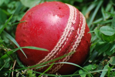 Kırmızı kriket topu