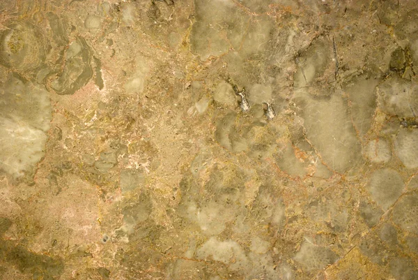 gri ve bej mermer dekoratif duvar karoları ile fosil etkisi