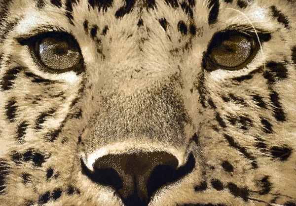 duvar-cheetah yüzü asılı halı