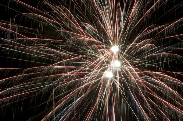 Firework on black sky — Stock Photo, Image