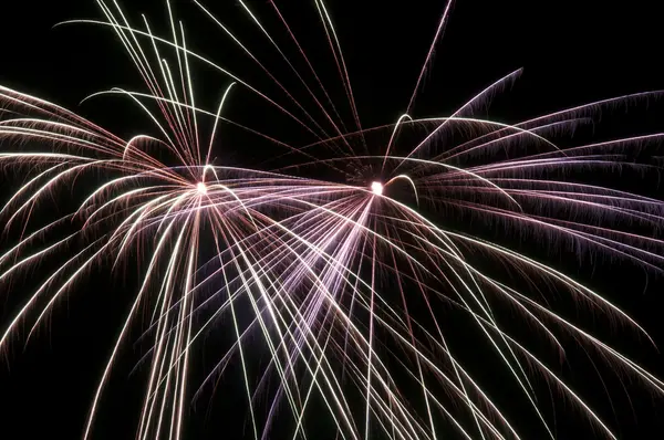 Firework on black sky — Stock Photo, Image
