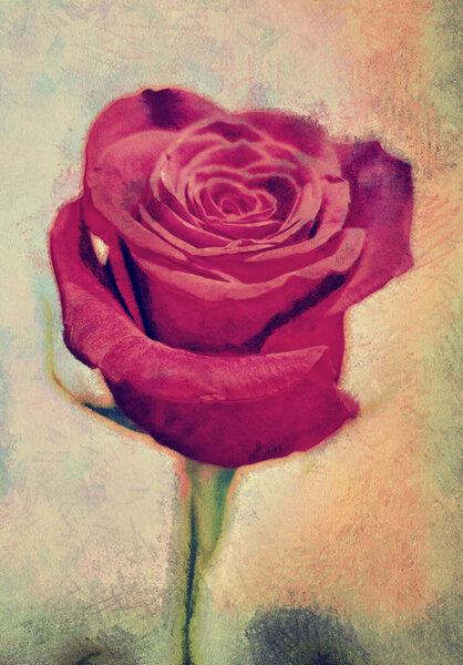 Pseudo oil painting. rose