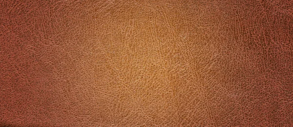 Tekstura skóry na tło — Zdjęcie stockowe