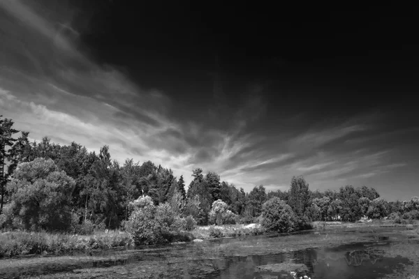 See und Wald — Stockfoto