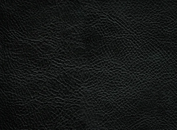 Leather texture — Stock Photo, Image