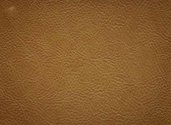 Leather texture — Stock Photo, Image