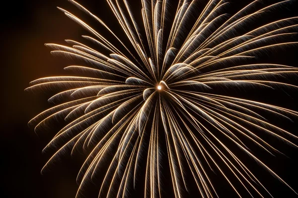 Fuochi d'artificio colorati nel cielo notturno — Foto Stock