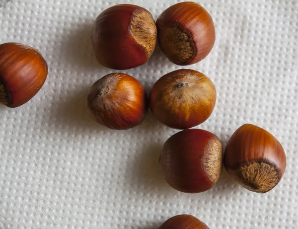 Scattered hazelnuts — Stock Photo, Image