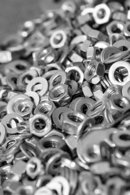 fındık ve contalar