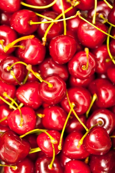 Tasty and juicy cherries — Stock Photo, Image