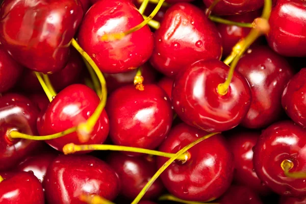 Tasty and juicy cherries — Stock Photo, Image