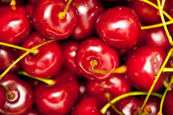 Tasty and juicy cherries — Stock Photo, Image