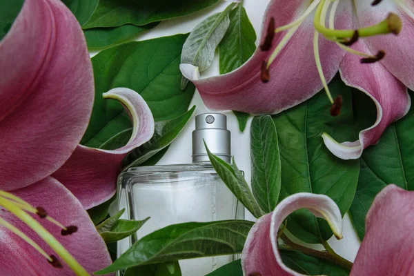 Beyaz Arka Planda Parfüm Spreyi Olan Cam Şişe Yeşil Yapraklar — Stok fotoğraf