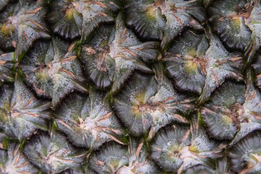 Ananas meyvesinin makro ayrıntıları
