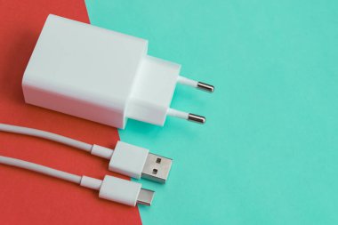 Şarj aleti ve USB kablo tipi C pembe ve mavi arkaplan üzerinde
