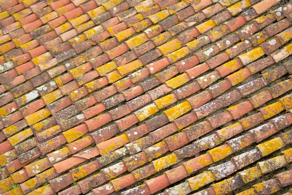 Allineamento di tegole su un tetto — Foto Stock